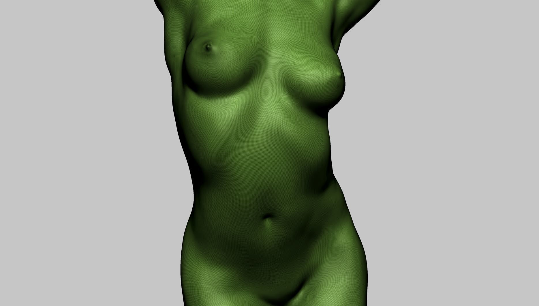 Female Torso Printable A 3D print model_13