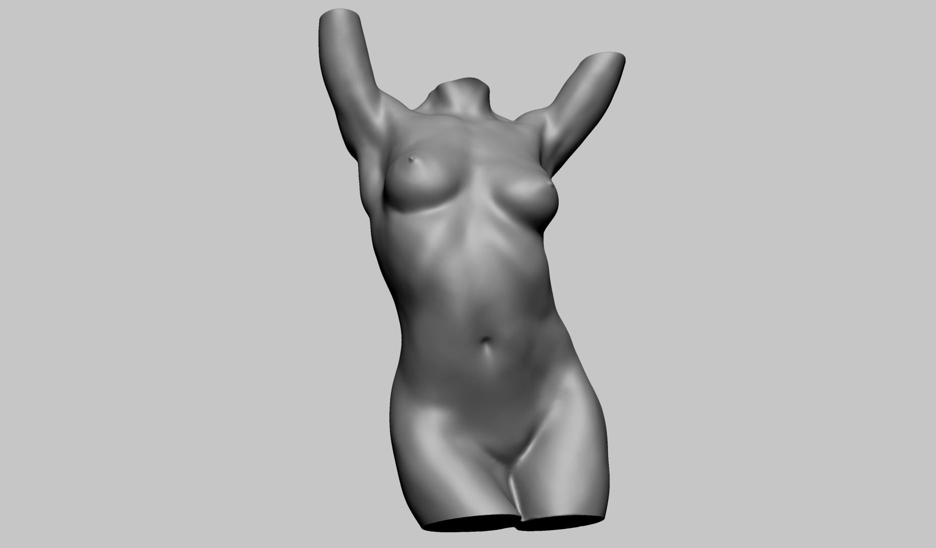 Female Torso Printable A 3D print model_6