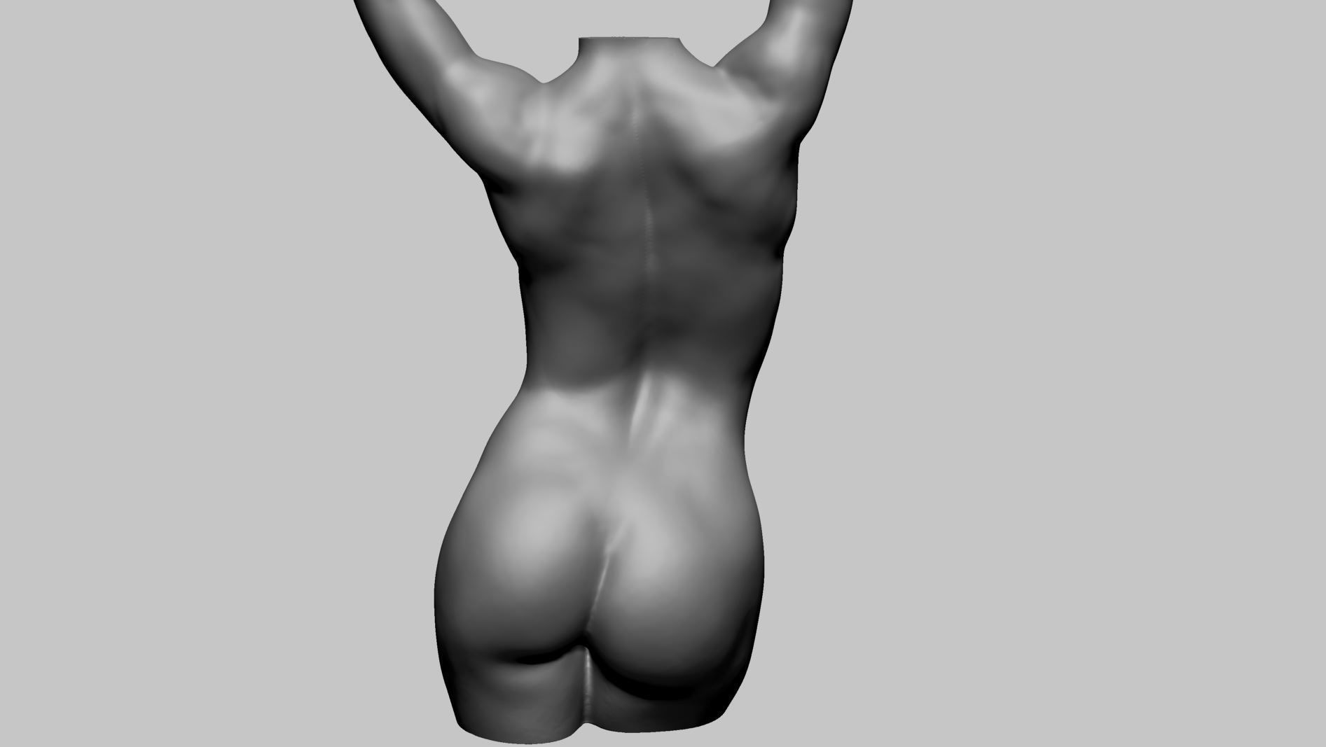 Female Torso Printable A 3D print model_3