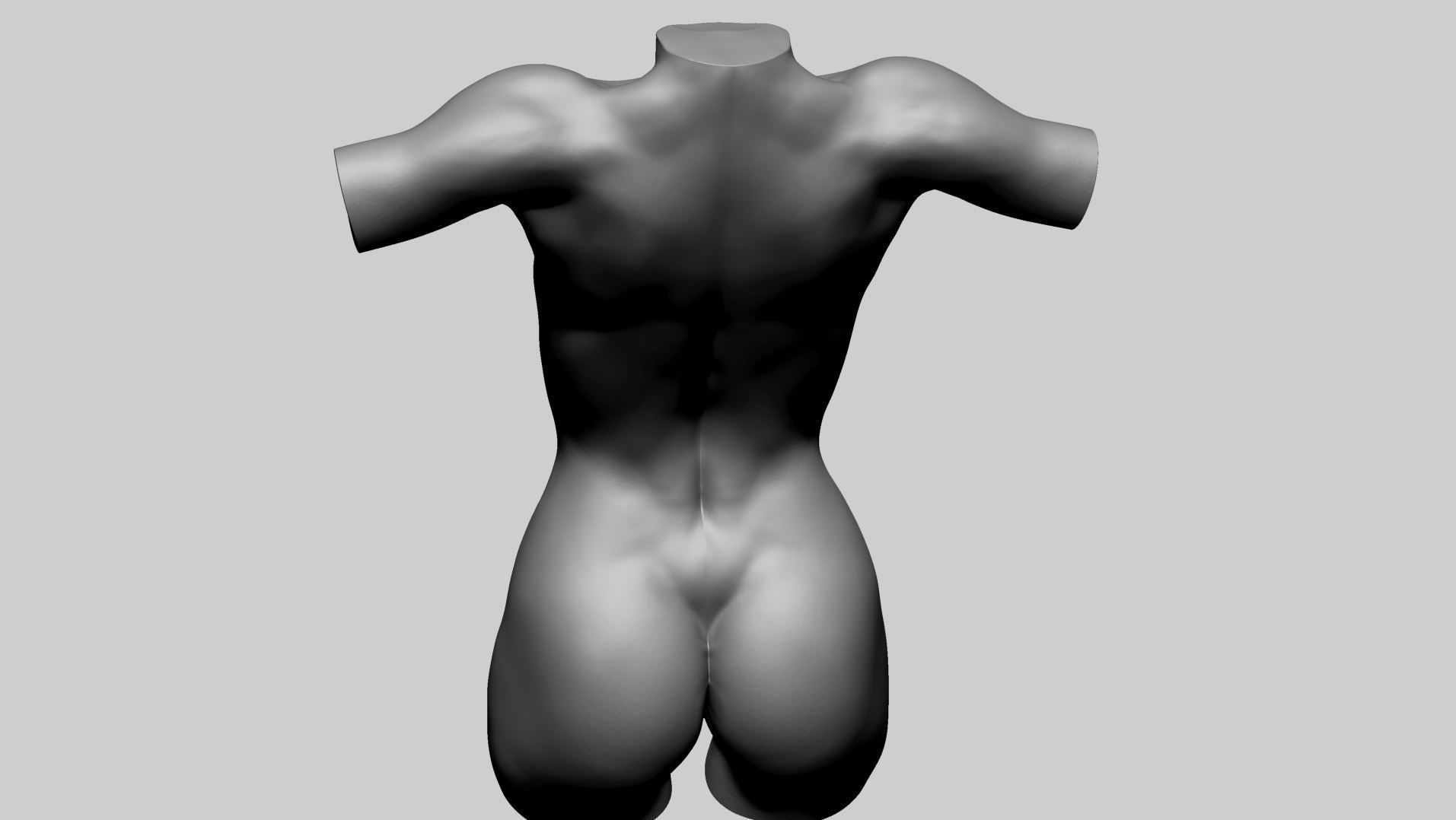 Female Torso Printable B 3D print model_10