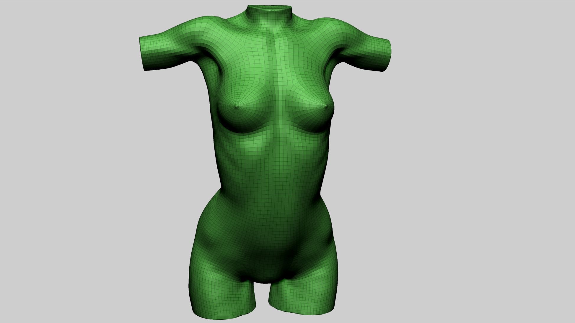 Female Torso Printable B 3D print model_11