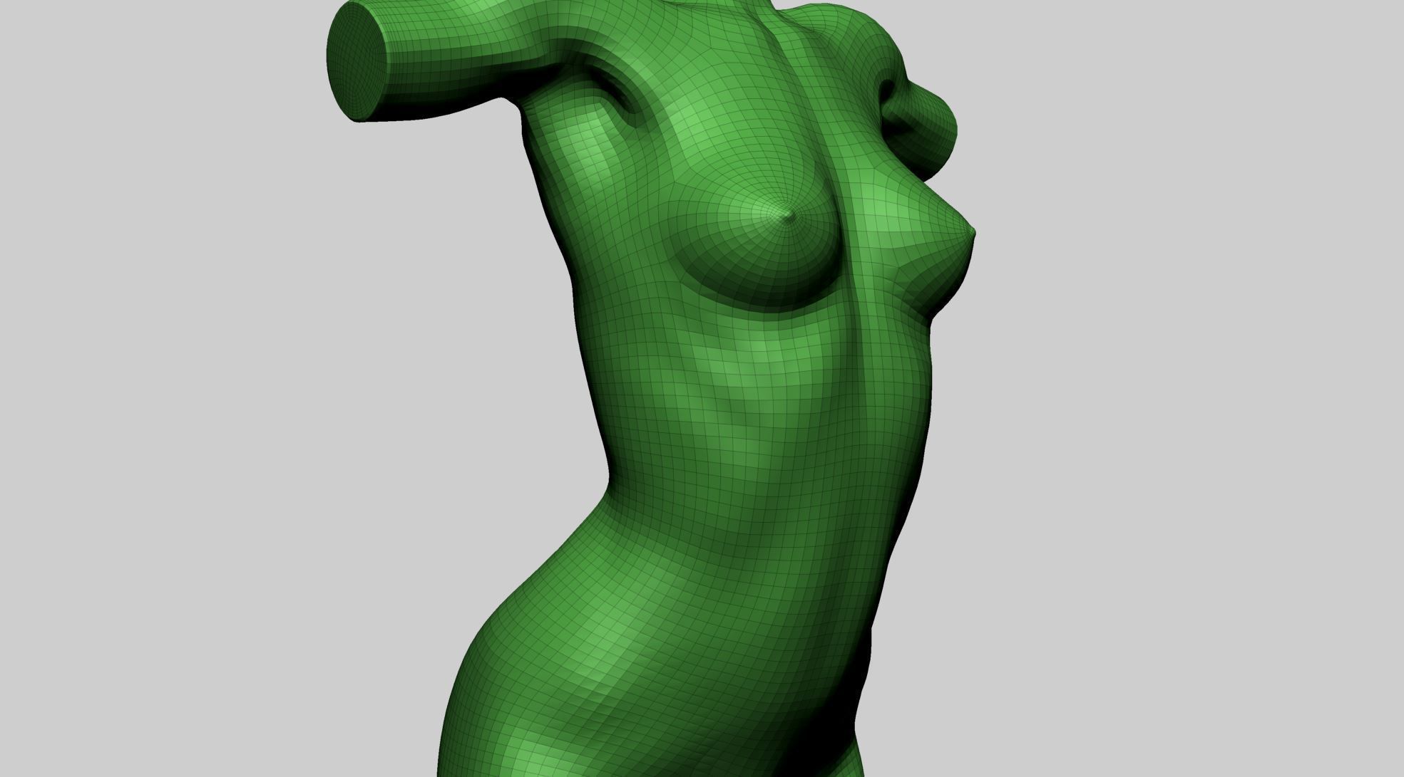 Female Torso Printable B 3D print model_12