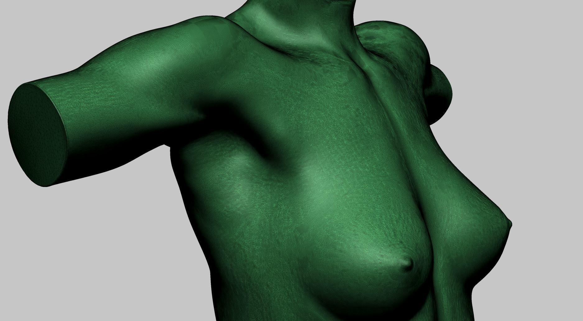 Female Torso Printable B 3D print model_14