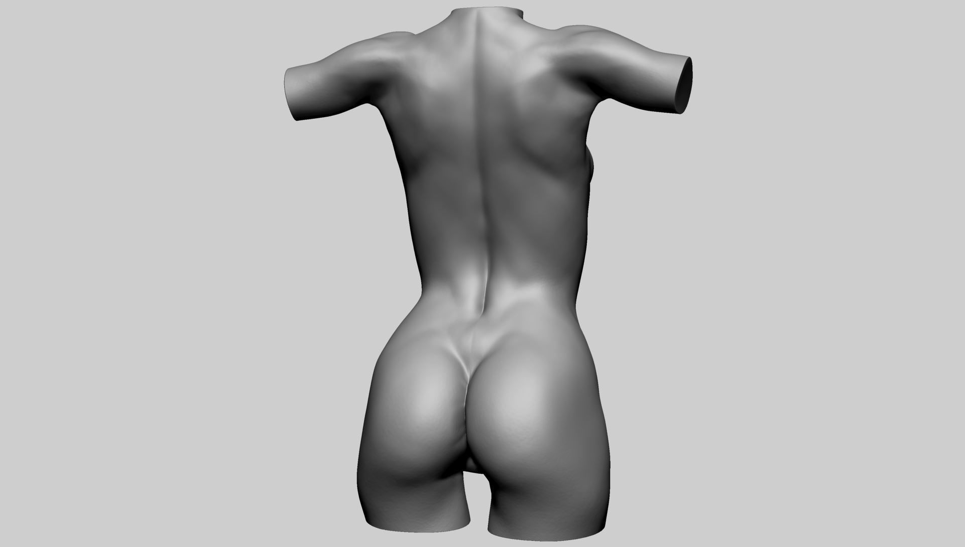 Female Torso Printable B 3D print model_4