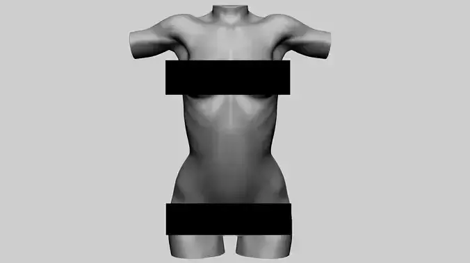 Female Torso Printable B 3D print model