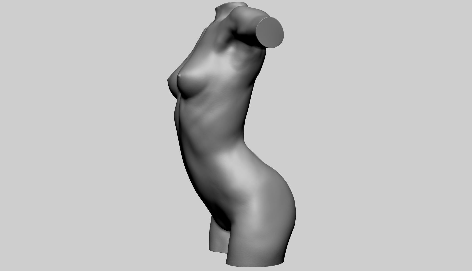 Female Torso Printable B 3D print model_7