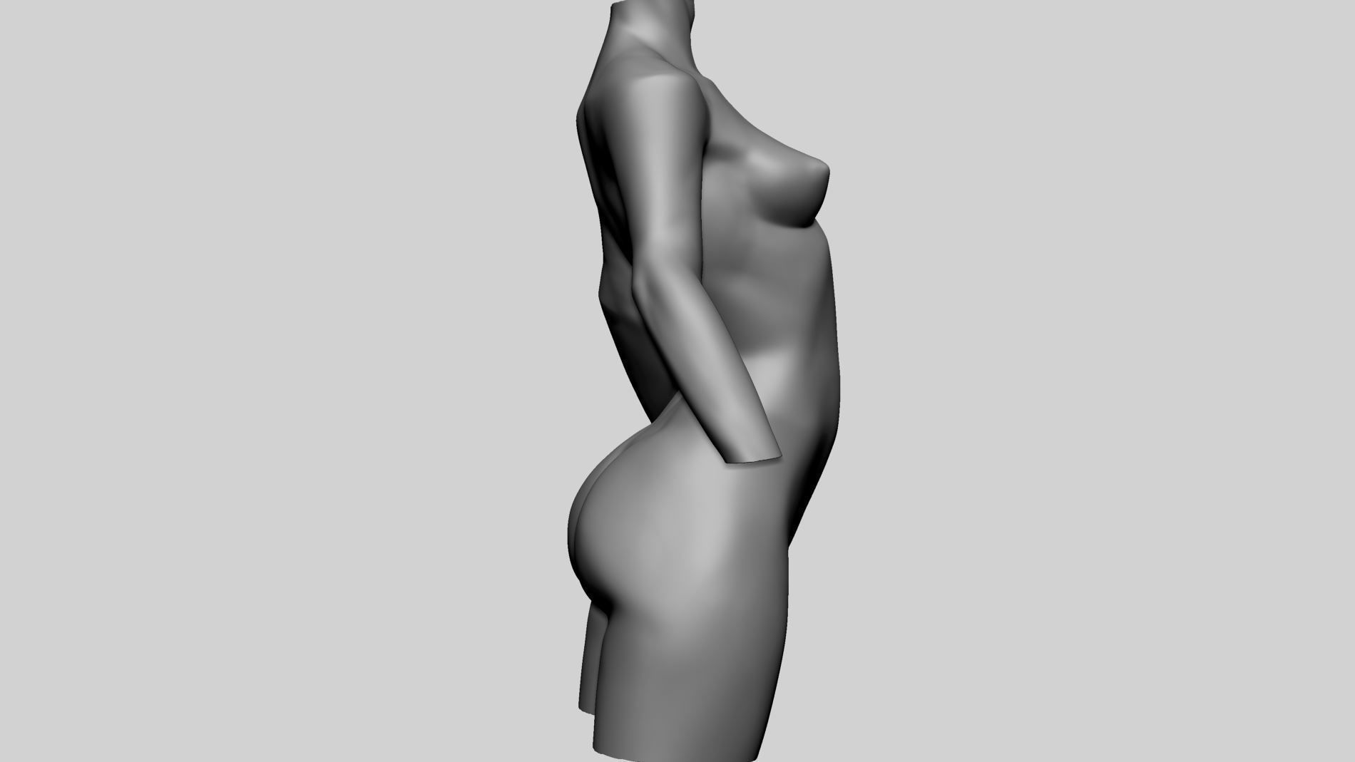 Stylized Female Torso Printable A 3D print model_3
