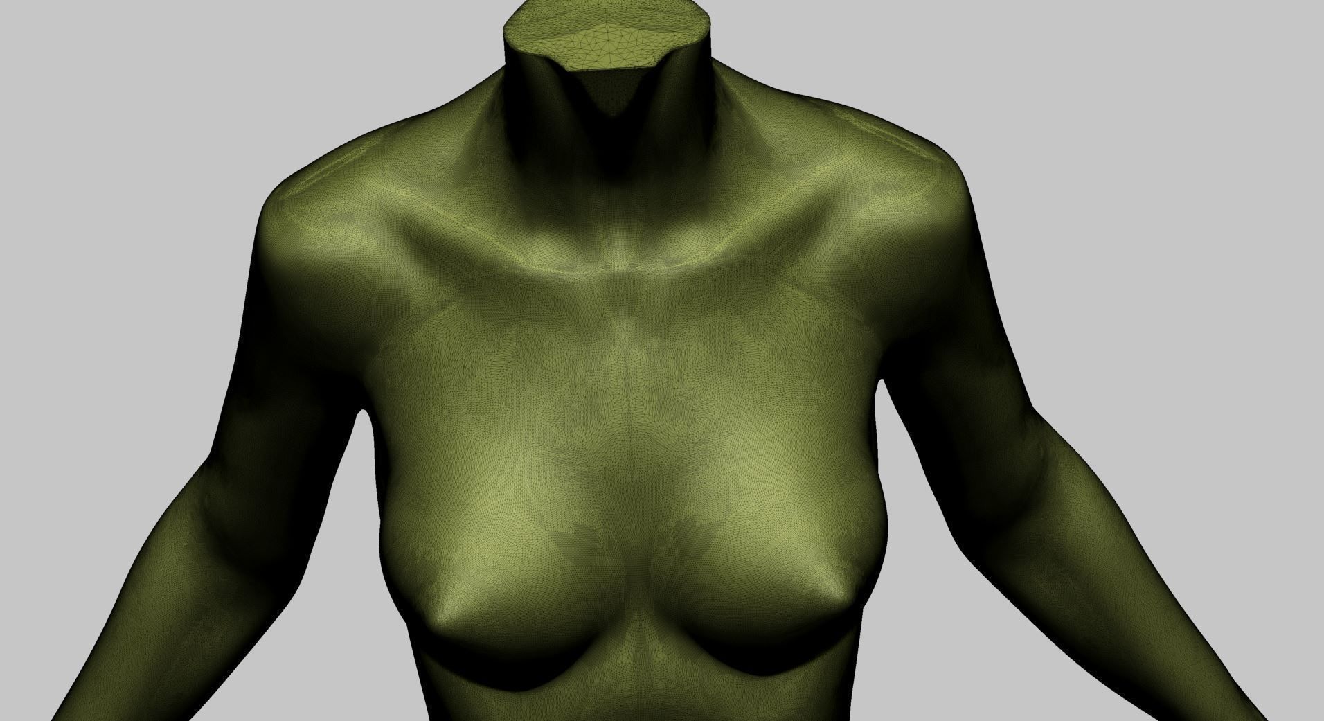 Stylized Female Torso Printable A 3D print model_13