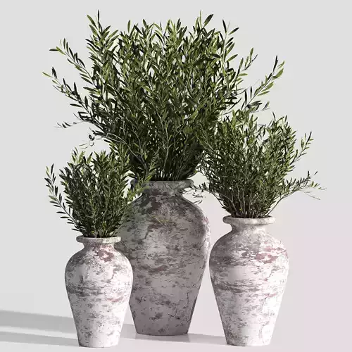 indoor plant set 15