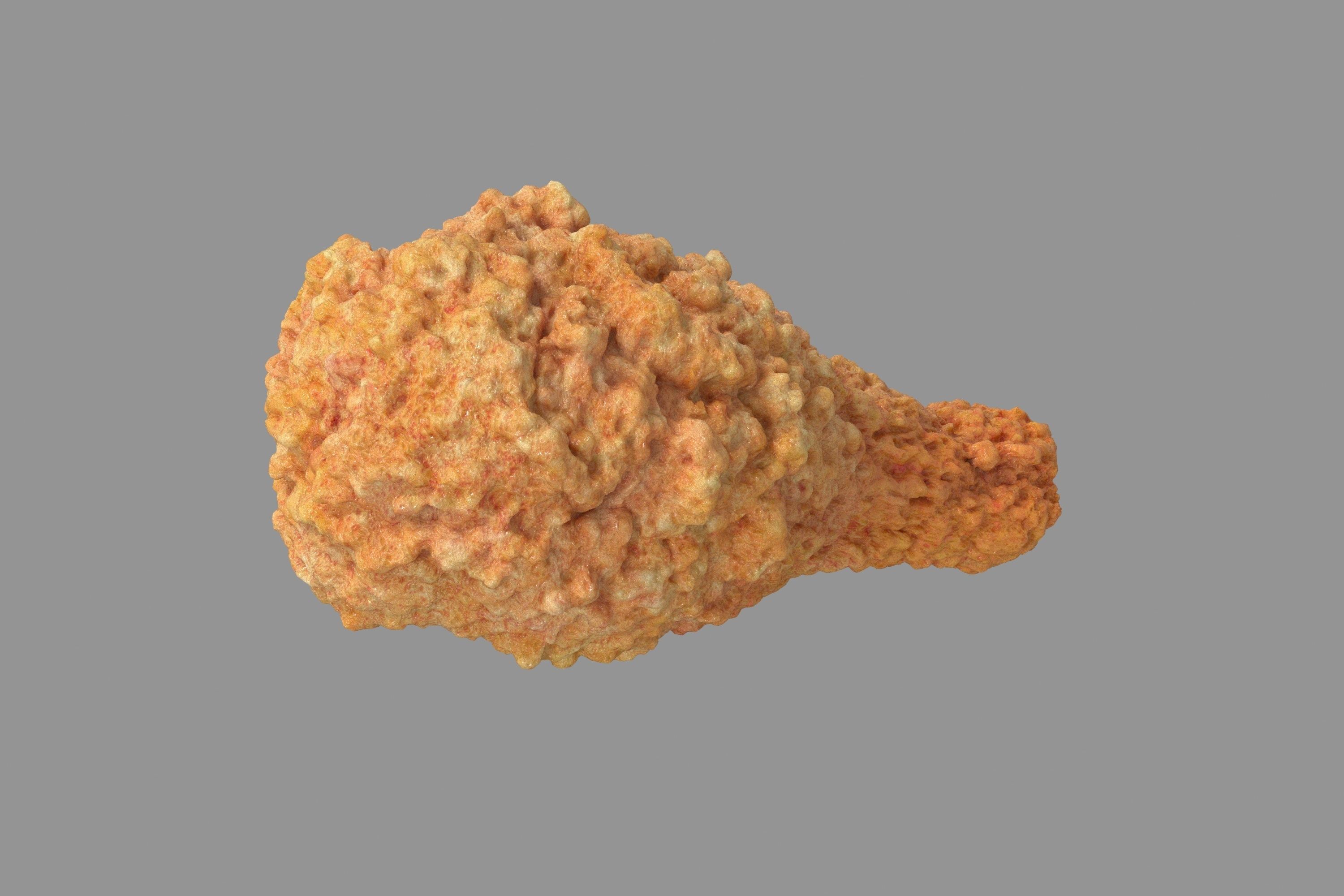 Fried Chicken 3D model_4