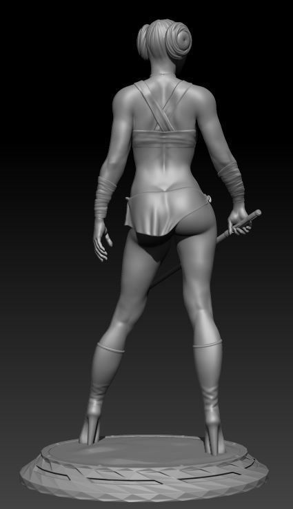 Princess Leia Fan Art 3D print model_2