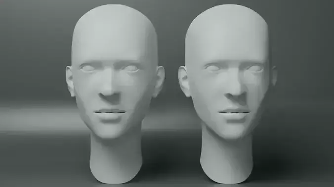 Female Basemesh Head
