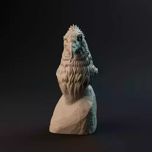 Haast Eagle bust - pre-supported prehistoric bird head