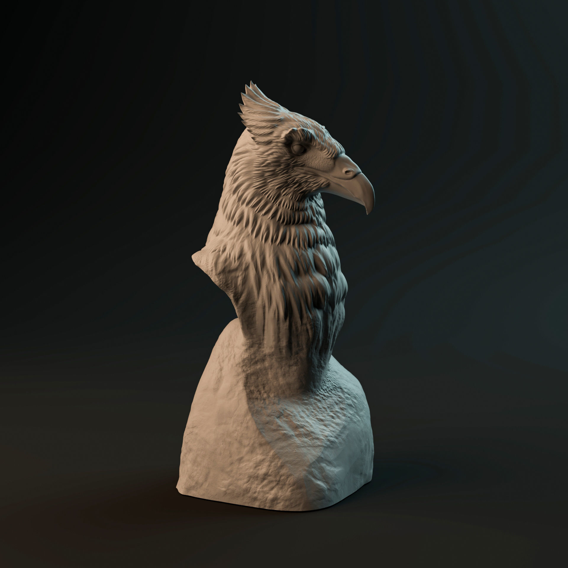 Haast Eagle bust - pre-supported prehistoric bird head 3D print model_2