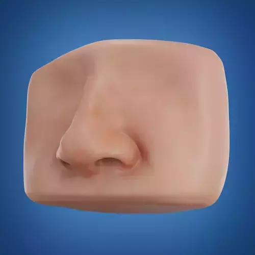 Runny Nose Animated 3D Model