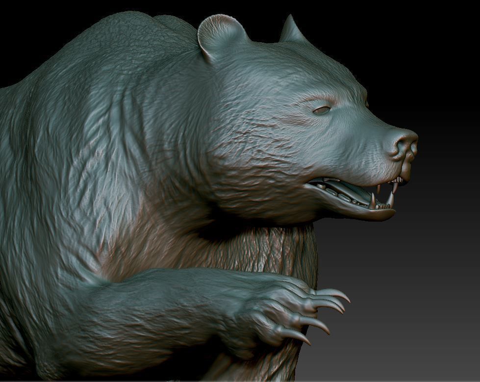 Bear Grizzly  3D print model_6