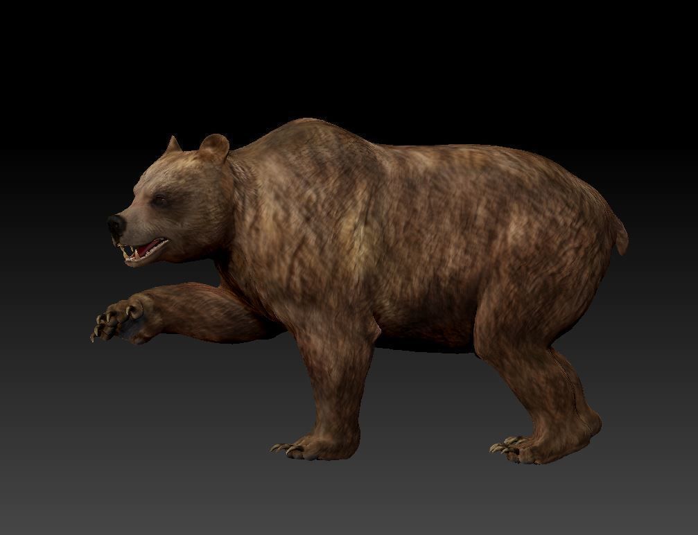 Bear Grizzly  3D print model_2