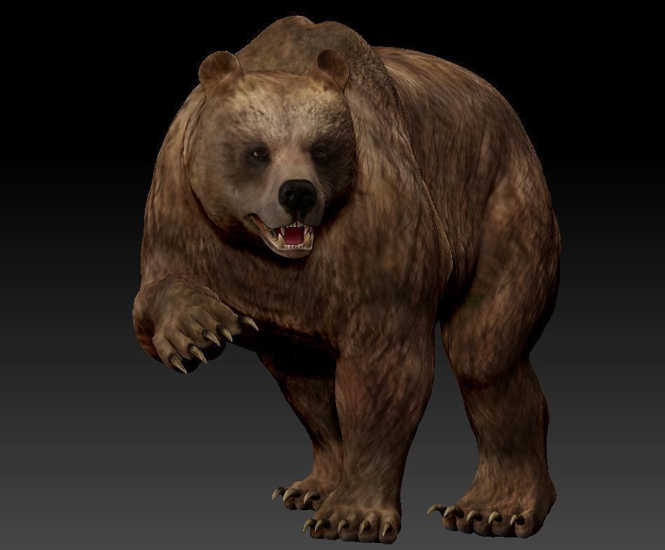 Bear Grizzly  3D print model_1