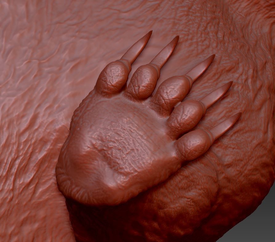 Bear Grizzly  3D print model_10