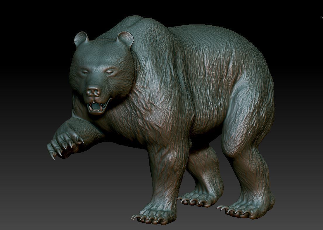 Bear Grizzly  3D print model_5