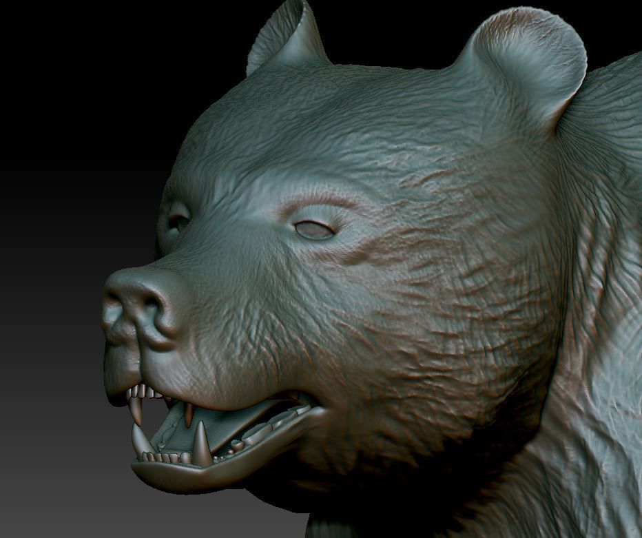 Bear Grizzly  3D print model_7