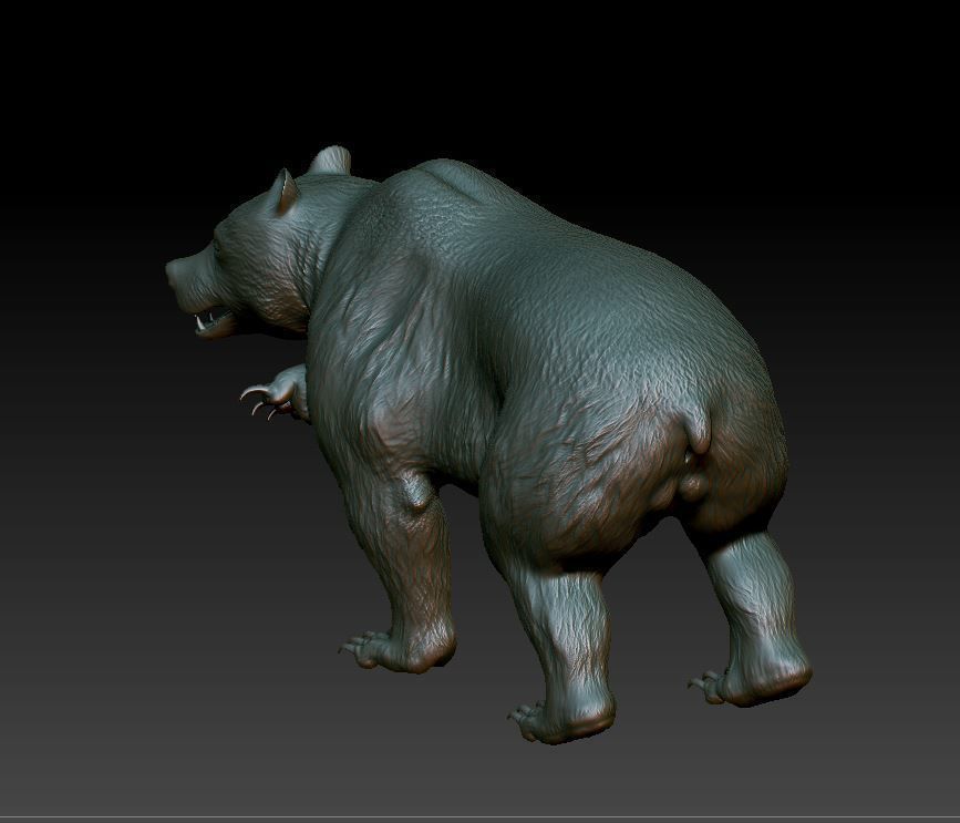 Bear Grizzly  3D print model_8