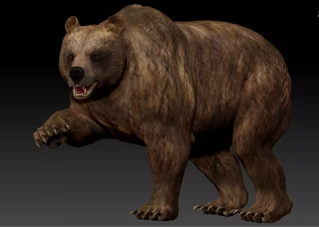 Bear Grizzly  3D print model_0