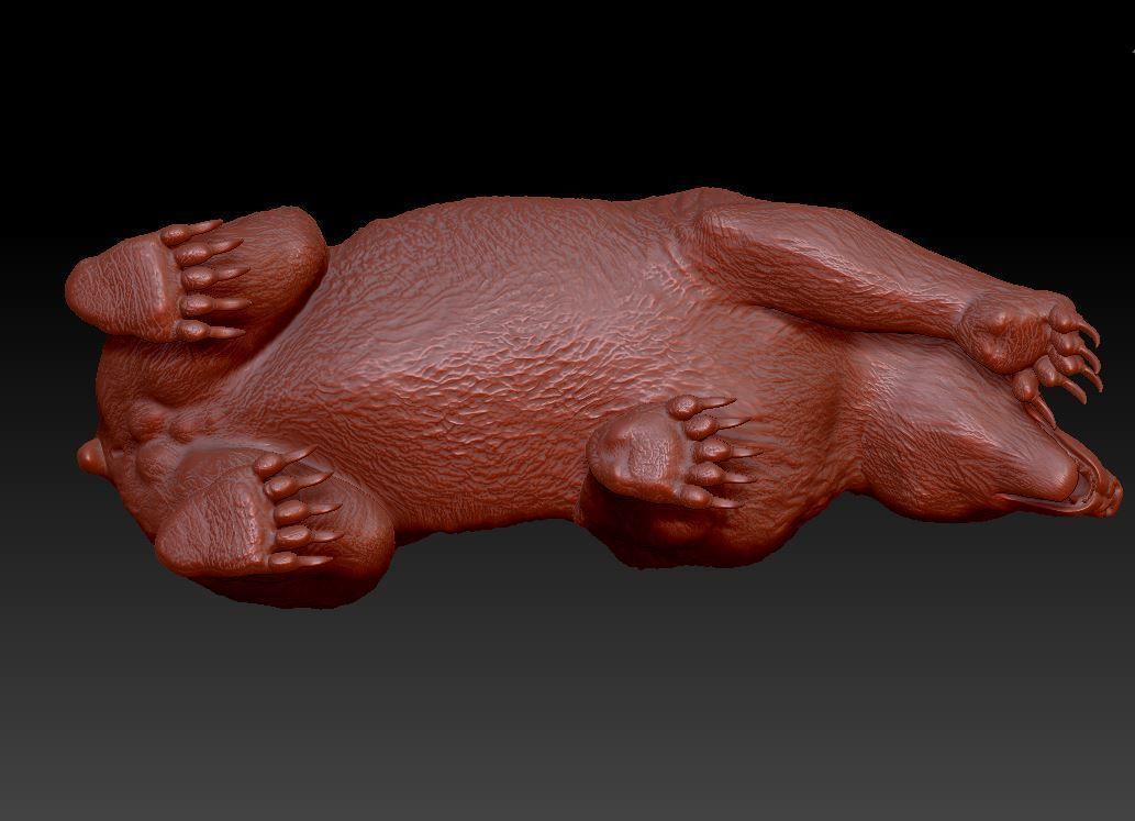 Bear Grizzly  3D print model_11