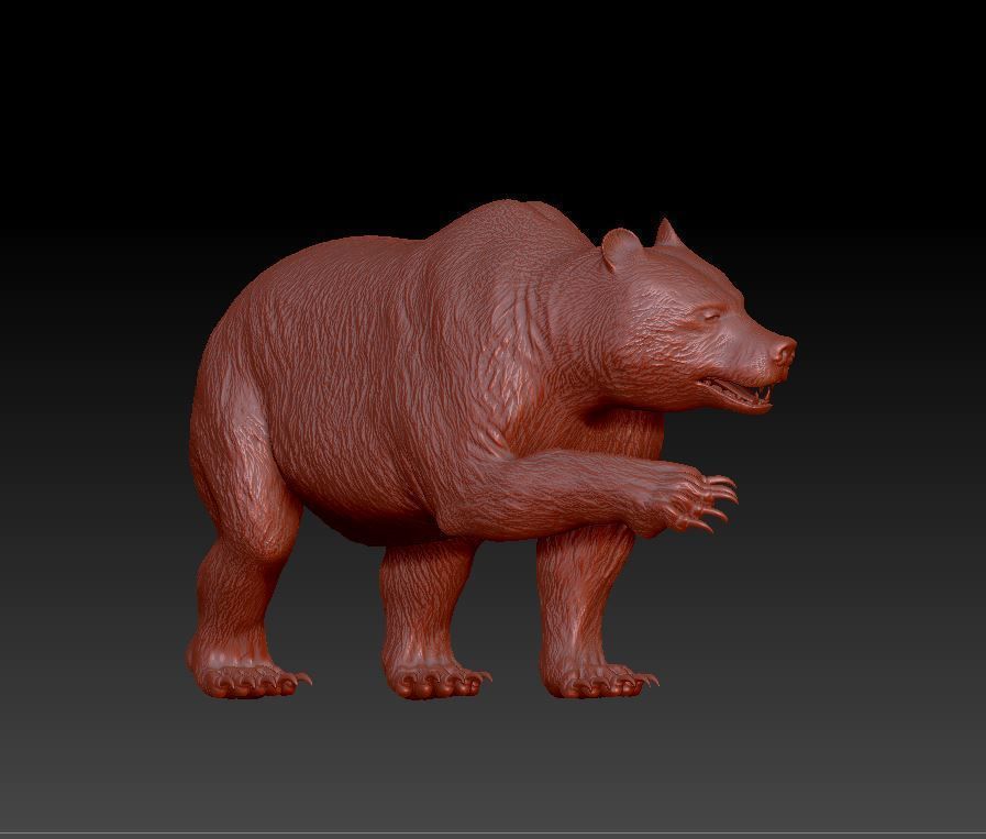 Bear Grizzly  3D print model_9