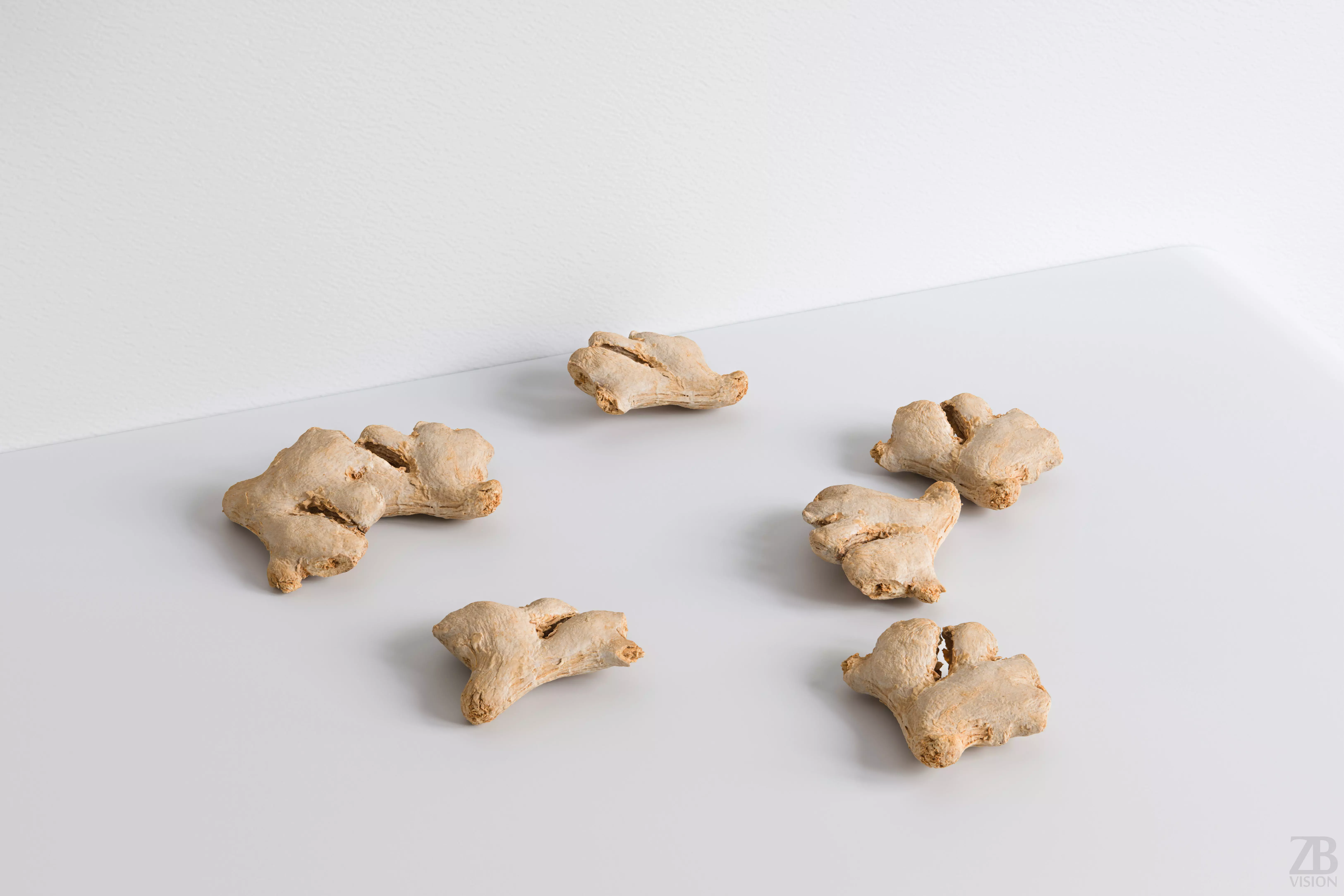Ginger 3D model_0