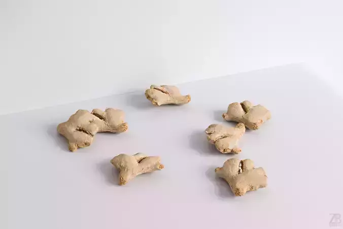 Ginger 3D model