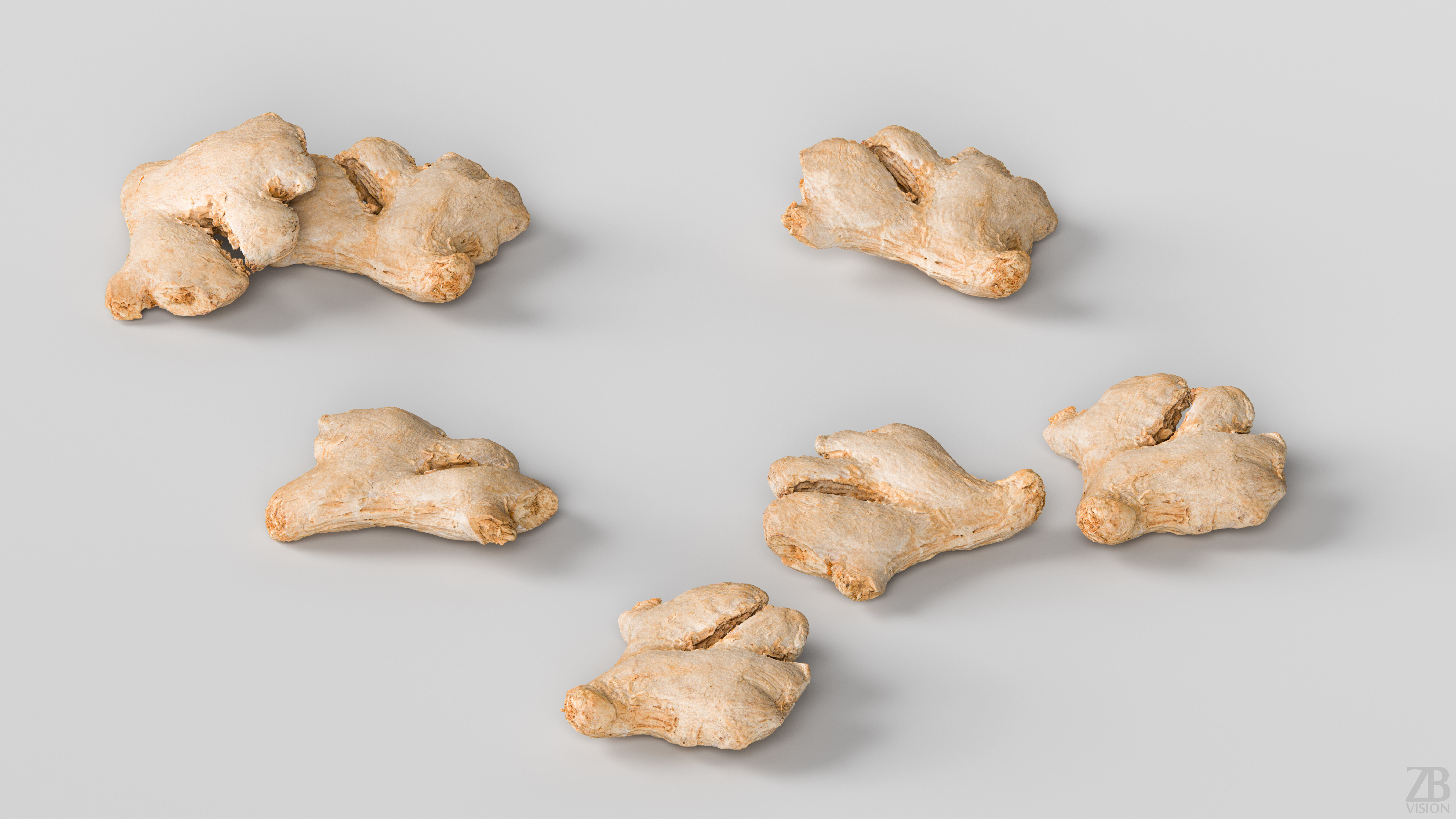 Ginger 3D model_2