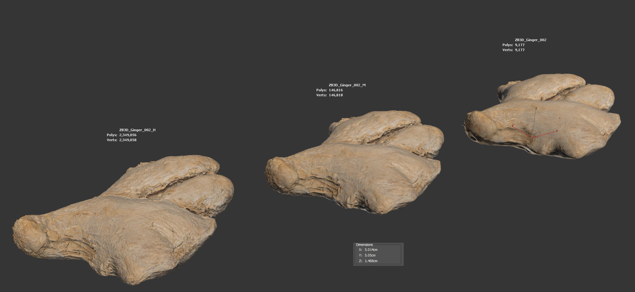 Ginger 3D model_5