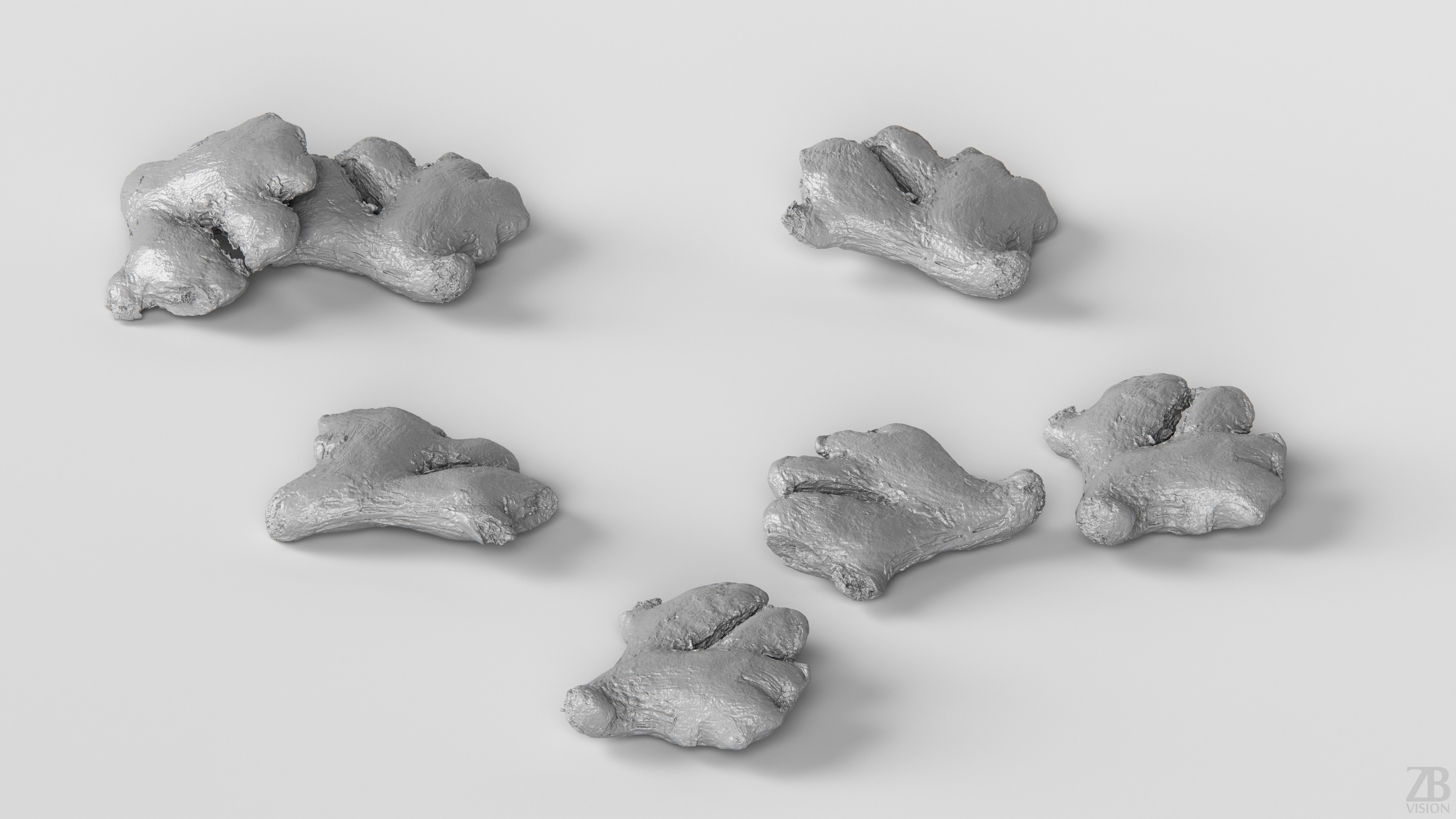 Ginger 3D model_3