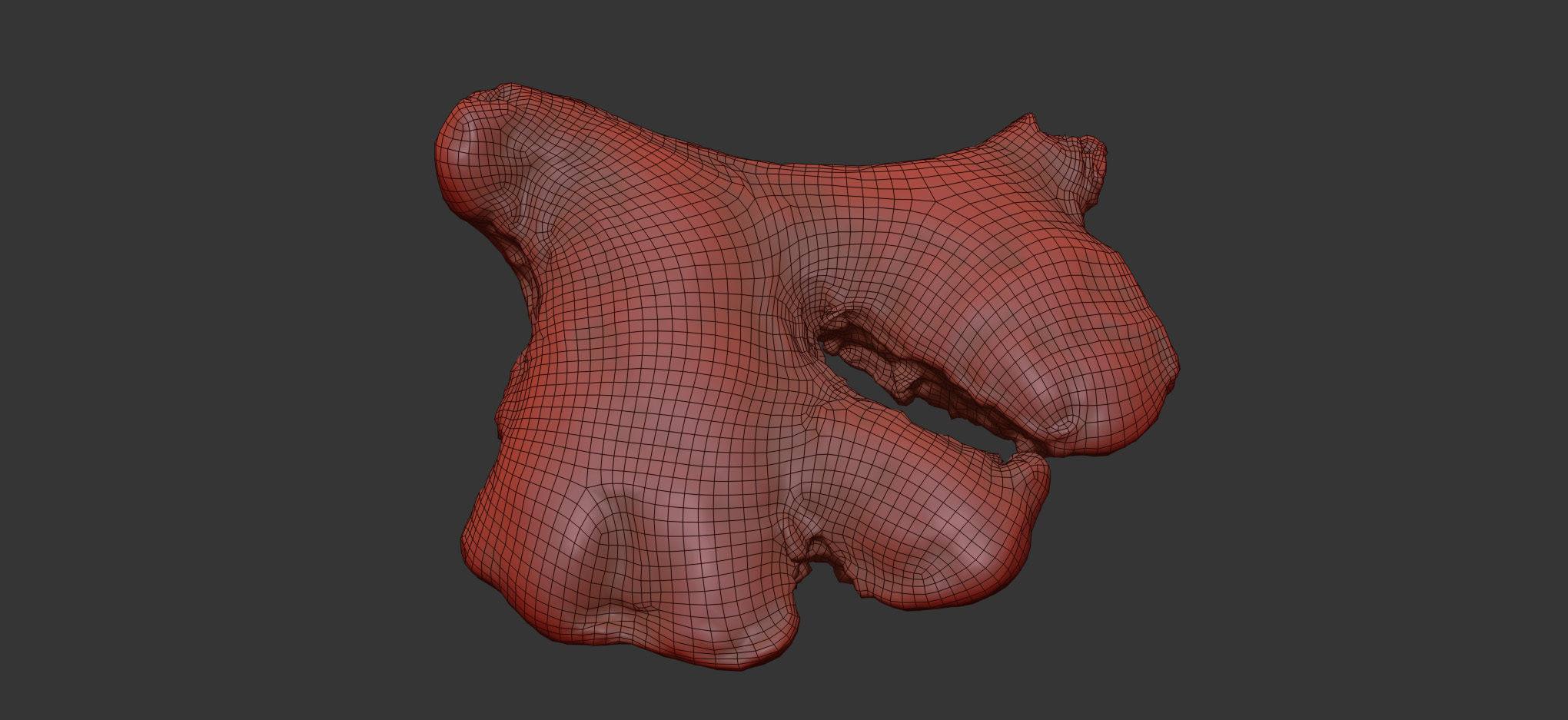 Ginger 3D model_6