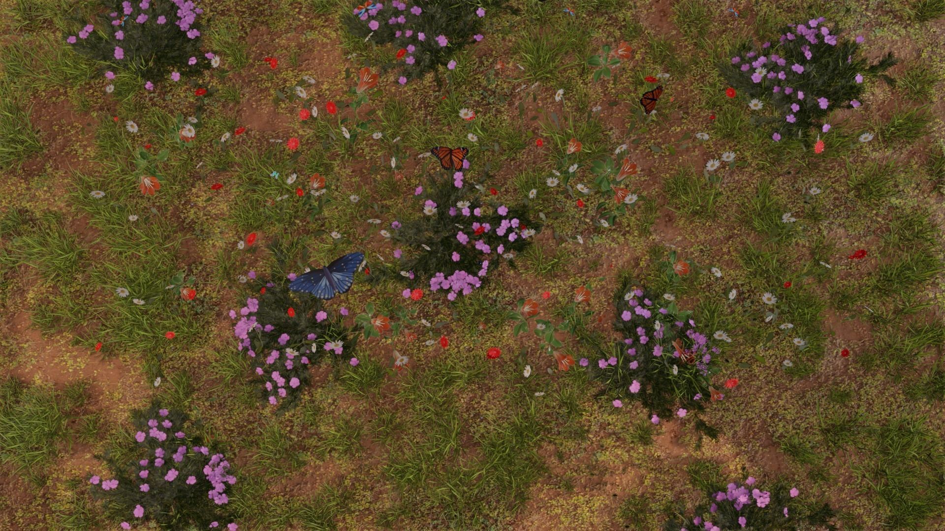 Beautiful Animated Windy Grass field flowers with Butterflies 3D model_2