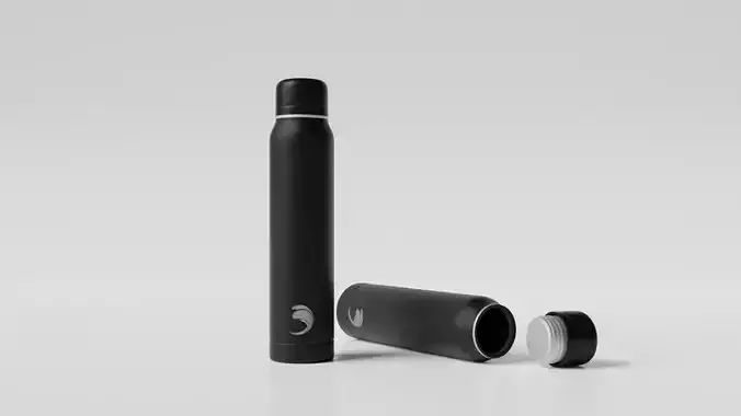 Stainless Steel Water Bottle