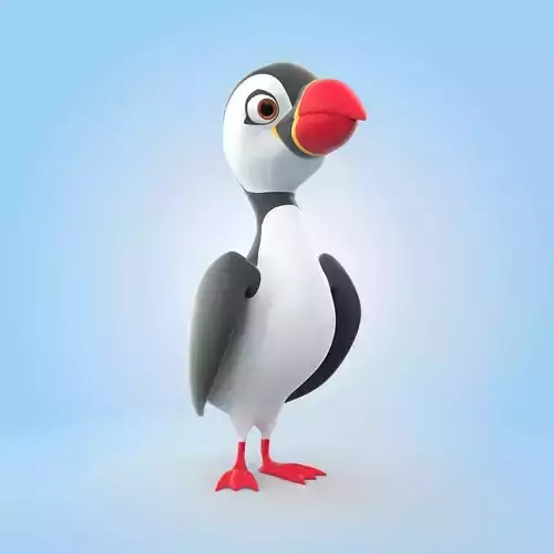 Puffin Bird