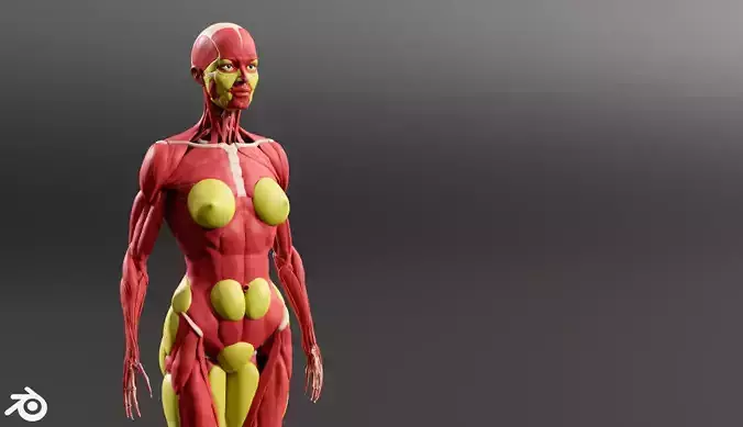 Human Female Ecorshe