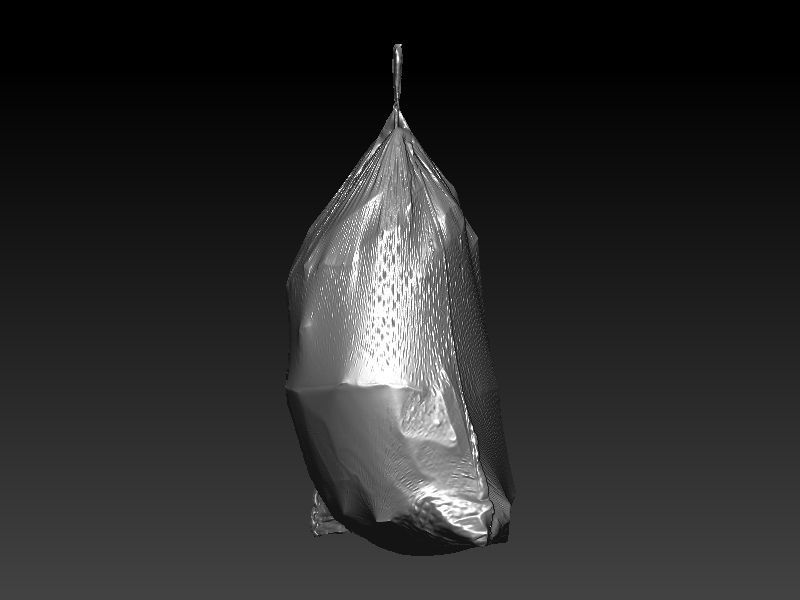 Flex Trashbag 3D scan 3D model_7
