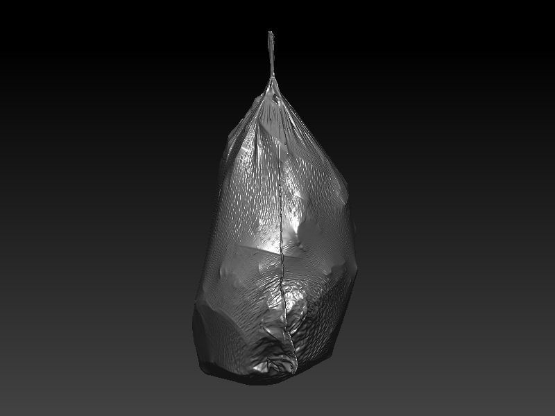 Flex Trashbag 3D scan 3D model_3