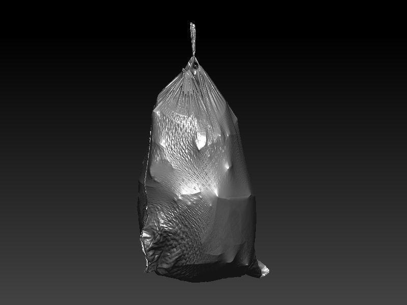 Flex Trashbag 3D scan 3D model_5