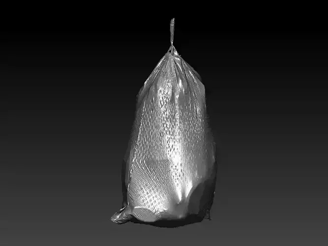 Flex Trashbag 3D scan 3D model
