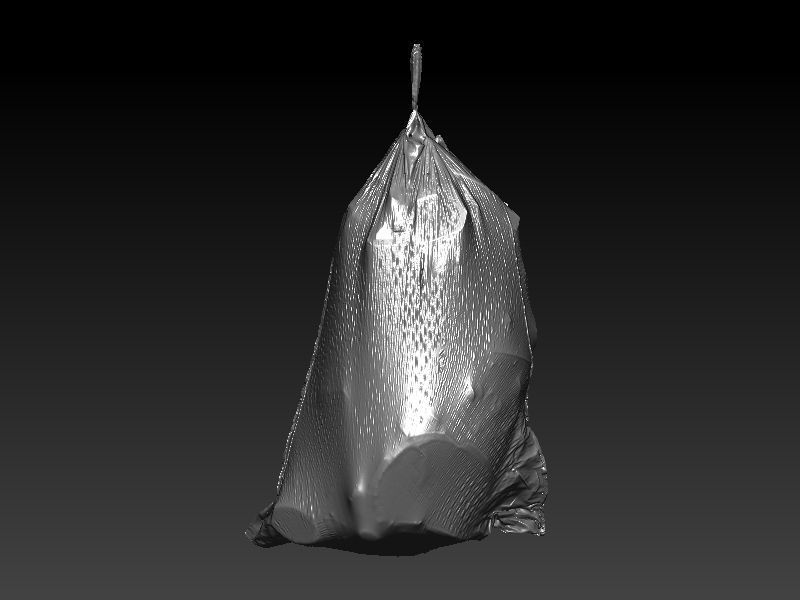 Flex Trashbag 3D scan 3D model_1