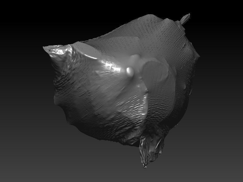 Flex Trashbag 3D scan 3D model_9