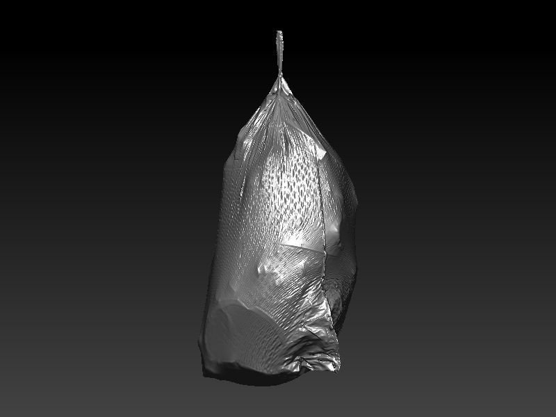 Flex Trashbag 3D scan 3D model_2