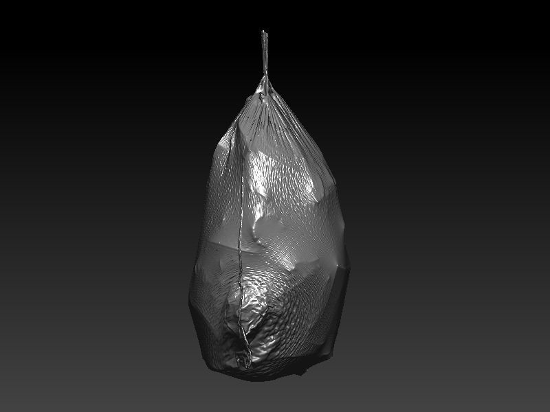 Flex Trashbag 3D scan 3D model_4
