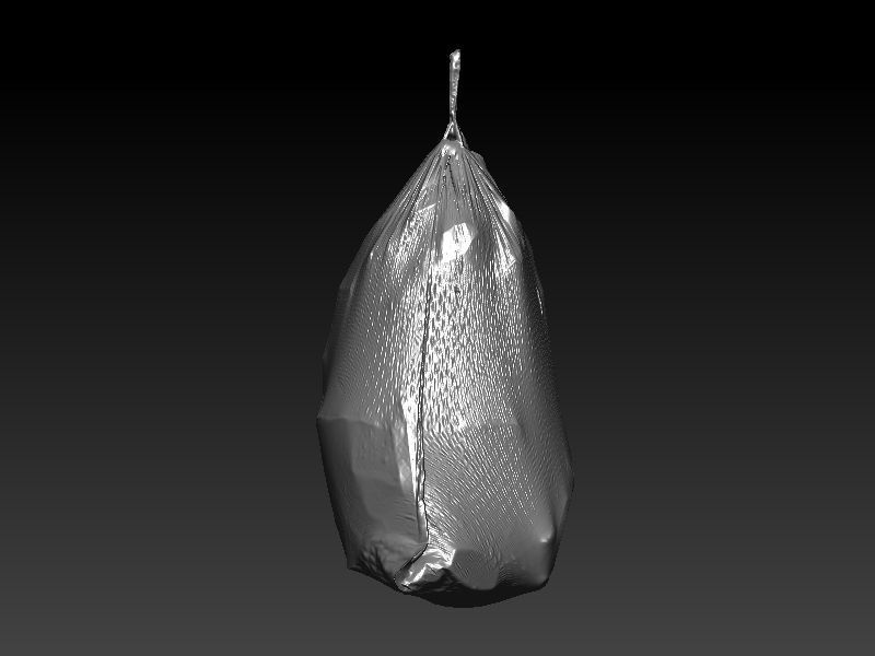 Flex Trashbag 3D scan 3D model_8