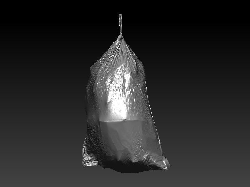 Flex Trashbag 3D scan 3D model_6