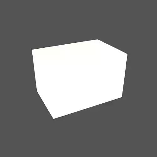 Styrofoam Box v1 001